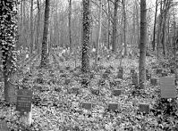 Berlin-Weissensee-Juedischer-Friedhof-19920105-38.jpg