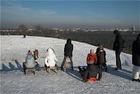Berlin-Wilmersdorf-Grunewald-20090111-60.jpg