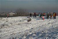 Berlin-Wilmersdorf-Grunewald-20090111-66.jpg