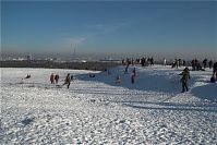 Berlin-Wilmersdorf-Grunewald-20090111-71.jpg