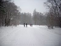 Berlin-Wilmersdorf-Grunewald-20100117-10.jpg
