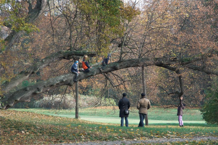 Berlin. Steglitz-Zehlendorf. Ortsteil Wannsee. Park beim Glienicker Schloss
1. 11. 2009. Berlin. Steglitz-Zehlendorf. Ortsteil Wannsee. Park beim Glienicker Schloss
Schlüsselwörter: Berlin;Deutschland;Germany;Glienicke;Herbst;Park;Steglitz-Zehlendorf;Wald;Wannsee;2009;Zehlendorf