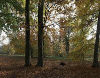 Berlin-Zehlendorf-Wannsee-Glienicke-20091101-51.jpg