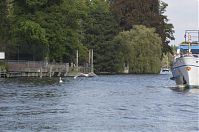 Berlin-Zehlendorf-Wannsee-Kleiner-20110903-051.jpg