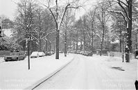Dateiname=Berlin-Zehlendorf-Nikolassee-199102-061.jpg
Dateigröße=263KB
Abmessungen: 880x579
hinzugefügt am: 04. Januar 2016 Berlin-Zehlendorf-Nikolassee-199102-061.jpg