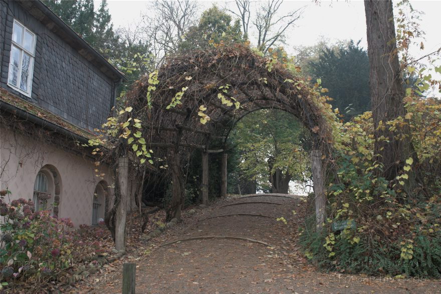 Berlin. Wannsee. Pfaueninsel. Weinlaubgang. Überdachter Weg. Parklandschaft.
2. 11. 2008. Berlin. Wannsee. Pfaueninsel. Weinlaubgang. Überdachter Weg. Parklandschaft.
Schlüsselwörter: Berlin;Deutschland;Germany;Pfaueninsel;Wannsee;2008;Zehlendorf