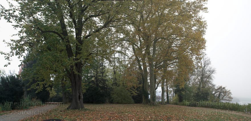 Berlin. Wannsee. Pfaueninsel. Wald mit Herbstlaub in der Parklandschaft.
2. 11. 2008. Berlin. Wannsee. Pfaueninsel. Wald mit Herbstlaub in der Parklandschaft. (Composing aus mehreren Einzelbildern. Pentax K20D)
Schlüsselwörter: Baum;Berlin;Deutschland;Germany;Herbstlaub;Pfaueninsel;Wald;Wannsee;2008;Zehlendorf