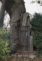 Dateiname=Berlin-Zehlendorf-Wannsee-Pfaueninsel-20081102-30.jpg
Dateigröße=277KB
Abmessungen: 610x880
hinzugefügt am: 04. Januar 2016 Berlin-Zehlendorf-Wannsee-Pfaueninsel-20081102-30.jpg