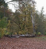 Dateiname=Berlin-Zehlendorf-Wannsee-Pfaueninsel-20081102-p38.jpg
Dateigröße=537KB
Abmessungen: 831x880
hinzugefügt am: 04. Januar 2016 Berlin-Zehlendorf-Wannsee-Pfaueninsel-20081102-p38.jpg