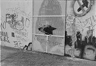 Dateiname=Berliner-Mauer-Mitte-beim-Reichstag-19900219-078.jpg
Dateigröße=293KB
Abmessungen: 880x601
hinzugefügt am: 04. Januar 2016 Berliner-Mauer-Mitte-beim-Reichstag-19900219-078.jpg