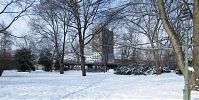 Berlin-Tiergarten-Tie20100214-10.jpg