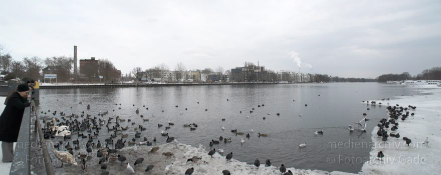Berlin. Treptow. Winter. Spree. Eis. Schnee.
21. 2. 2010. Berlin. Treptow. Winter. Fluss Spree. Eis. Schnee.
Schlüsselwörter: 2010;Berlin;Deutschland;Eis;Fluss;Germany;Panorama;Schnee;Spree;Treptow;Winter
