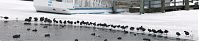 Dateiname=Berlin-Treptow-20100221-52.jpg
Dateigröße=82KB
Abmessungen: 880x183
hinzugefügt am: 04. Januar 2016 Berlin-Treptow-20100221-52.jpg
