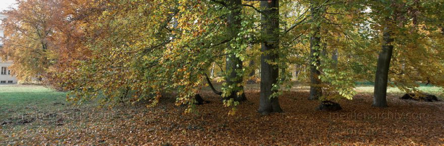 Berlin. Steglitz-Zehlendorf. Ortsteil Wannsee. Park beim Glienicker Schloss. Herbststimmung. Herbstlaub. Wald. Bäume.
1. 11. 2009. Berlin. Steglitz-Zehlendorf. Ortsteil Wannsee. Park beim Glienicker Schloss. Herbststimmung. Herbstlaub. Wald. Bäume.
Schlüsselwörter: Berlin;Deutschland;Germany;Glienicke;Herbst;Panorama;Park;Steglitz-Zehlendorf;Wald;Wannsee;2009;Zehlendorf