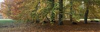 Berlin-Zehlendorf-Wannsee-Glienicke-20091101-12.jpg