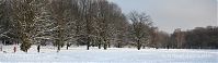 Berlin-Wedding-Rehberge-20100103-013p.jpg