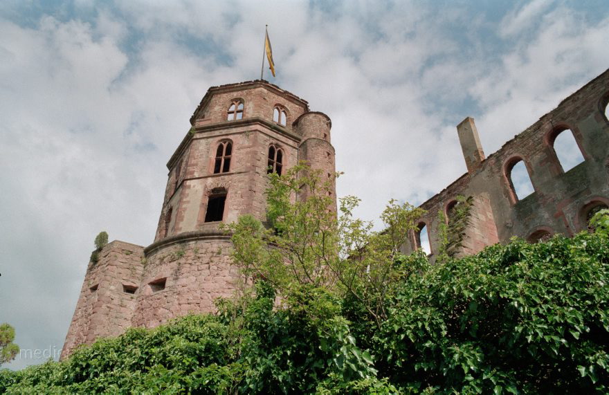 Baden-Württemberg. Heidelberg
17. 5. 1991. Baden-Württemberg. Heidelberg. Heidelberger Schloss am Nordhang des Königsstuhls
Schlüsselwörter: Baden-Württemberg;Deutschland;Germany;Heidelberg;1991;Heidelberger Schloss
