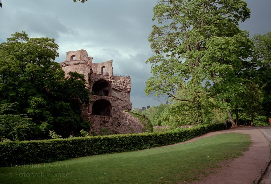 Baden-Württemberg. Heidelberg
17. 5. 1991. Baden-Württemberg. Heidelberg. Heidelberger Schloss am Nordhang des Königsstuhls
Schlüsselwörter: Baden-Württemberg;Deutschland;Germany;Heidelberg;1991;Heidelberger Schloss