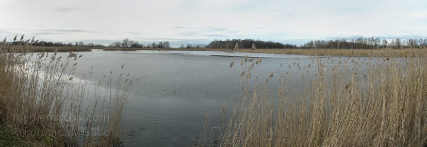 Brandenburg. Linum. Winter. Eis auf dem Teich
8. 2. 2014. Brandenburg. Linum. Winter. Eis auf dem Teich
Schlüsselwörter: Brandenburg;Eis;Linum;Panorama;Rhinluch;2014;Winter