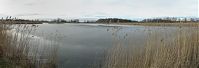 Brandenburg-Linum-20140208-1p.jpg