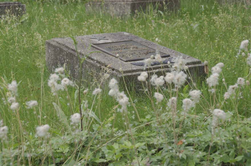 Sowjetischer Ehrenfriedhof Baruth / Mark
17. 6. 2014. Brandenburg Baruth/Mark. Sowjetischer Ehrenfriedhof Baruth / Mark. Grabsteine
Schlüsselwörter: Baruth/Mark;Brandenburg;Ehrenfriedhof;Friedhof;Grabstein;Soldaten;2014;Sowjetischer;Baruth  Mark