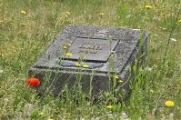 Dateiname=Brandenburg-Baruth-Ehrenfriedhof-20140617-226.jpg
Dateigröße=315KB
Abmessungen: 880x584
hinzugefügt am: 02. Januar 2016 Brandenburg-Baruth-Ehrenfriedhof-20140617-226.jpg