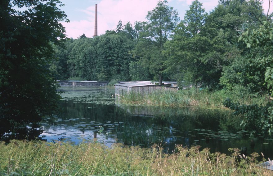 Boitzenburg
August 1996. Brandenburg. Uckermark. Boitzenburg. Schloßpark
Schlüsselwörter: Boitzenburg;Brandenburg;Deutschland;Germany;Schlosspark;Schloßpark;Schlösser;1996;Uckermark