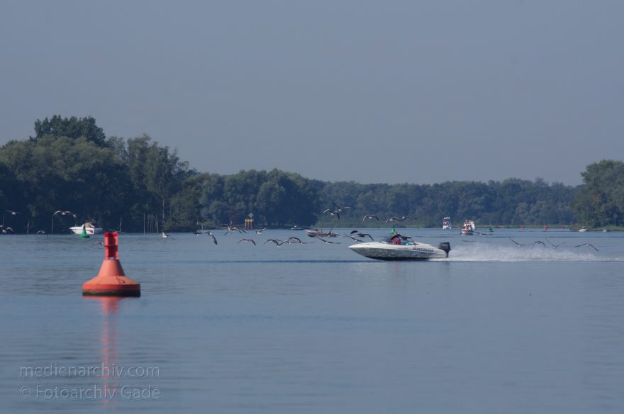 Brandenburg. Ketzin. Trebelsee. Fluss Havel. Motorboot und Gänse
19. 8. 2012. Brandenburg. Ketzin. Trebelsee. Fluss Havel. Ein schnelles Motorboot scheucht Gänse auf. Gans
Schlüsselwörter: Brandenburg;Deutschland;Fluss;Gans;Germany;Gänse;Havel;Ketzin;2012;Motorboot