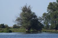 Dateiname=Brandenburg-Havel-20120819-345.jpg
Dateigröße=202KB
Abmessungen: 880x584
hinzugefügt am: 02. Januar 2016 Brandenburg-Havel-20120819-345.jpg