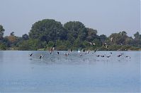 Brandenburg-Trebelsee-20120819-116.jpg