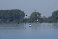 Dateiname=Brandenburg-Trebelsee-20120819-117.jpg
Dateigröße=126KB
Abmessungen: 880x584
hinzugefügt am: 02. Januar 2016 Brandenburg-Trebelsee-20120819-117.jpg