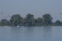 Brandenburg-Trebelsee-20120819-119.jpg