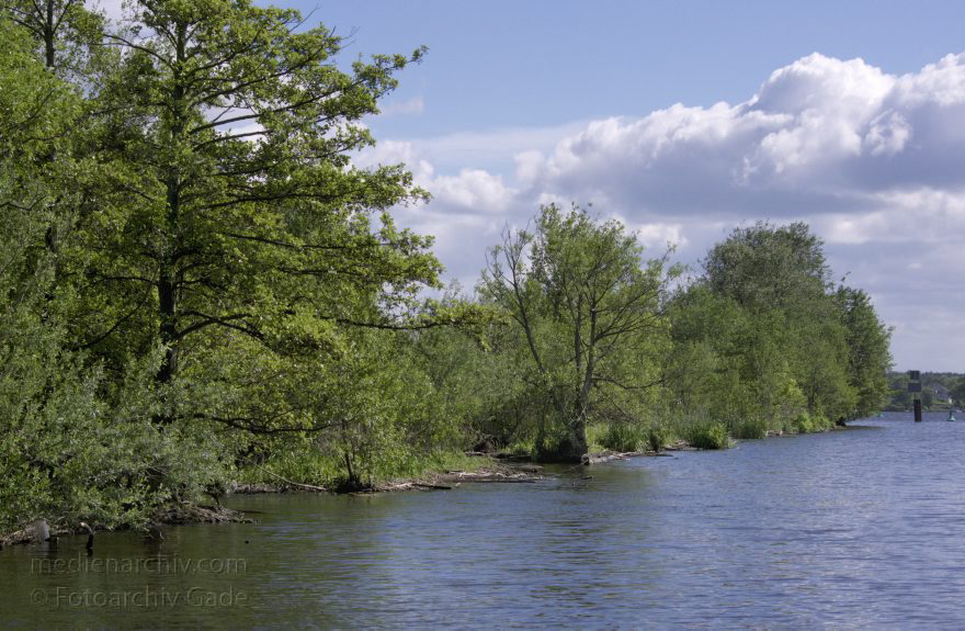 Hennigsdorf. Barriere zwischen der Havel und dem Nieder Neuendorfer See
4. 7. 2014. Brandenburg. Hennigsdorf. Begrünte Barriere zwischen der Havel und dem Nieder Neuendorfer See. Niederneuendorfer See. Künstliche Insel
Schlüsselwörter: Brandenburg;Fluss;Havel;Hennigsdorf;Insel;Nieder Neuendorfer See;2014;Niederneuendorfer See