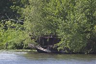 Brandenburg-Hennigsdorf-20120609-22.jpg
