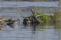 Brandenburg-Hennigsdorf-20121020-101.jpg
