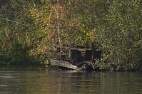 Dateiname=Brandenburg-Hennigsdorf-20121021-101.jpg
Dateigröße=328KB
Abmessungen: 880x584
hinzugefügt am: 02. Januar 2016 Brandenburg-Hennigsdorf-20121021-101.jpg