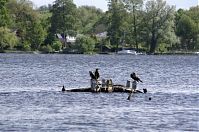 Brandenburg-Hennigsdorf-20140515-101.jpg