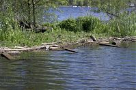 Dateiname=Brandenburg-Hennigsdorf-20140515-103.jpg
Dateigröße=313KB
Abmessungen: 880x584
hinzugefügt am: 02. Januar 2016 Brandenburg-Hennigsdorf-20140515-103.jpg