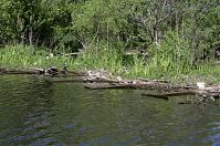 Dateiname=Brandenburg-Hennigsdorf-20140515-104.jpg
Dateigröße=343KB
Abmessungen: 880x584
hinzugefügt am: 02. Januar 2016 Brandenburg-Hennigsdorf-20140515-104.jpg