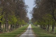Brandenburg-Hakenberg-20150424-10.jpg