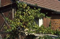 Brandenburg-Havelberg-19940904-15.jpg