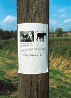 Dateiname=Brandenburg-Havelberg-Pferdemarkt-19940904-44.jpg
Dateigröße=200KB
Abmessungen: 639x880
hinzugefügt am: 02. Januar 2016 Brandenburg-Havelberg-Pferdemarkt-19940904-44.jpg