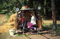 Brandenburg-Havelberg-Pferdemarkt-19940904-52.jpg