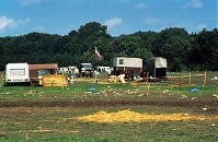 Brandenburg-Havelberg-Pferdemarkt-19940904-53.jpg