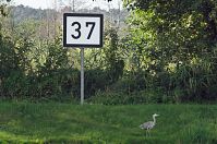 Dateiname=Brandenburg-Havelkanal-20120819-296.jpg
Dateigröße=307KB
Abmessungen: 880x584
hinzugefügt am: 02. Januar 2016 Brandenburg-Havelkanal-20120819-296.jpg