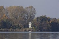 Brandenburg-Niederneuendorf-20121021-110.jpg