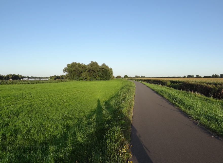 Brandenburg. Ketzin. Landschaft. Felder. Haveldeich.- Radweg
19. 8. 2012. Brandenburg. Ketzin. Landschaft. Felder. Haveldeich. Radweg
Schlüsselwörter: Brandenburg;Deutschland;Felder;Germany;Ketzin;2012;Radweg