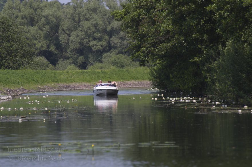Brandenburg. Ketzin an der Havel. Ketziner Bruchlandschaft. Seerosen
9. 6. 2013. Brandenburg. Ketzin an der Havel. Ketziner Bruchlandschaft. Motorboot auf einem Kanal mit Seerosen
Schlüsselwörter: Boote;Brandenburg;Bruchlandschaft;Deutschland;Fluss;Germany;Havel;Kanal;Ketzin;Ketziner Bruchlandschaft;Motorboote;2013;Seerosen