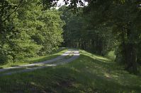 Brandenburg-Ketzin-20130608-064.jpg