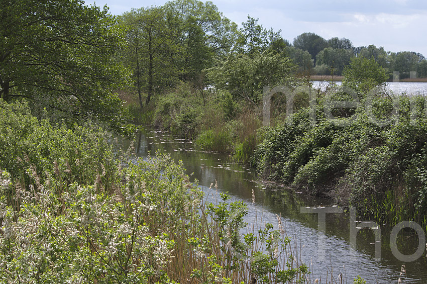 Linum. Amtmannkanal
13. 5. 2015. Brandenburg. Linum. Amtmannkanal
Schlüsselwörter: 2015;Amtmannkanal;Brandenburg;Linum